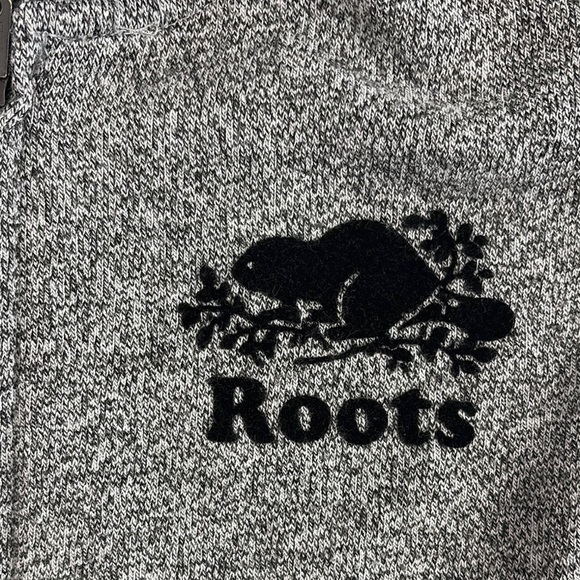 Roots kids Gray Zip-Up Hoodie Sweatshirt size youth Large - new - Picture 3 of 10